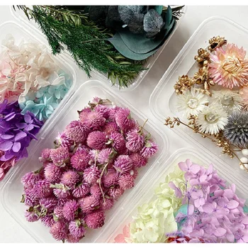 1 Caixa Naturais Real Secas Flor de Plantas Secas DIY Resina Epóxi Pingente de Colar da Jóia de Aromaterapia Vela Fazendo Artesanato Acessórios