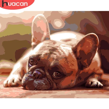 HUACAN Pintura a Óleo Animal Cachorro pintado à mão Fotos de Decoração de Casa Pelo Número Desenho Sobre a Tela, Arte de Parede Artesanais Presente